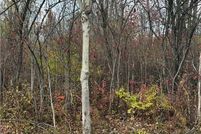 Land for sale in Jefferson County, New York