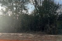 Land for sale in Wilcox County, Alabama