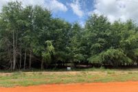 Land for sale in Wilcox County, Alabama
