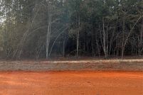 Land for sale in Wilcox County, Alabama