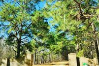 Undeveloped Land for sale in Lowndes County, Alabama