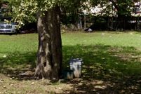 Land for sale in Bolivar County, Mississippi