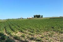 Farm and Ranch for sale in Oneida County, New York