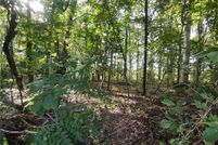 Undeveloped Land for sale in Lee County, North Carolina