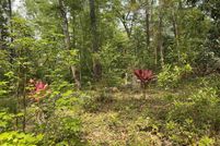 Land for sale in Leon County, Florida