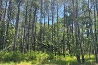 Land for sale in Jasper County, South Carolina