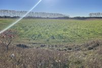 Undeveloped Land for sale in Oceana County, Michigan