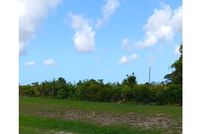 Land for sale in Charlotte County, Florida