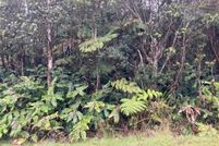 Undeveloped Land for sale in Hawaii County, Hawaii