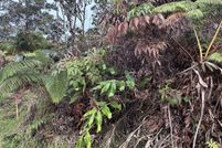 Undeveloped Land for sale in Hawaii County, Hawaii