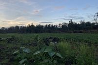 Land for sale in Hawaii County, Hawaii