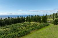 Land for sale in Hawaii County, Hawaii