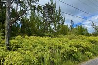 Undeveloped Land for sale in Hawaii County, Hawaii