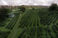 Recreational Property for sale in Hawaii County, Hawaii