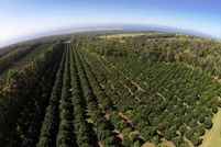 Land for sale in Hawaii County, Hawaii