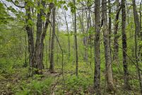 Land for sale in Franklin County, Maine