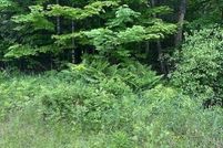 Land for sale in Penobscot County, Maine
