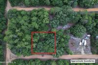 Undeveloped Land for sale in Putnam County, Florida