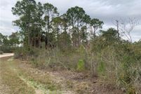 Land for sale in Levy County, Florida
