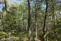 Land for sale in Waldo County, Maine