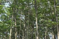 Undeveloped Land for sale in Waldo County, Maine