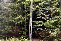 Timberland Property for sale in Hancock County, Maine