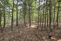 Timberland Property for sale in Penobscot County, Maine