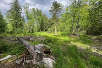 Homesite for sale in Hancock County, Maine