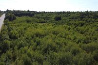 Land for sale in Hancock County, Maine