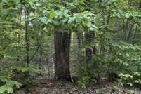 Homesite for sale in Cumberland County, Maine