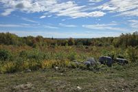 Land for sale in Waldo County, Maine