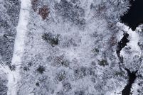 Undeveloped Land for sale in Hancock County, Maine