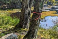 Land for sale in Lincoln County, Maine