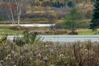 Land for sale in Washington County, Maine