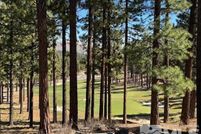 Undeveloped Land for sale in Douglas County, Nevada