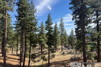 Land for sale in Douglas County, Nevada