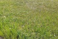 Undeveloped Land for sale in Pueblo County, Colorado