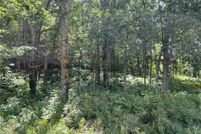 Land for sale in Burnett County, Wisconsin