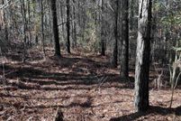 Undeveloped Land for sale in Polk County, Arkansas