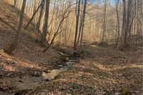Land for sale in Braxton County, West Virginia