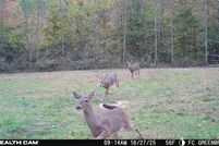 Farm and Ranch for sale in Fleming County, Kentucky