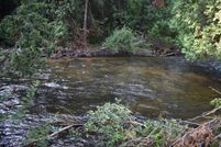 Undeveloped Land for sale in Cheboygan County, Michigan