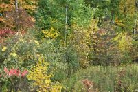 Land for sale in Van Buren County, Michigan