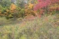 Undeveloped Land for sale in Van Buren County, Michigan