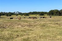 Land for sale in Ellis County, Texas