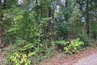 Undeveloped Land for sale in Henderson County, Texas