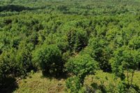 Land for sale in Dixie County, Florida