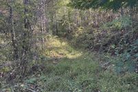 Undeveloped Land for sale in Polk County, Tennessee