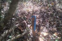 Land for sale in Fairfax County, Virginia