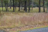 Undeveloped Land for sale in Luzerne County, Pennsylvania